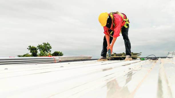 Best Roof Maintenance and Cleaning  in Glendale, WI